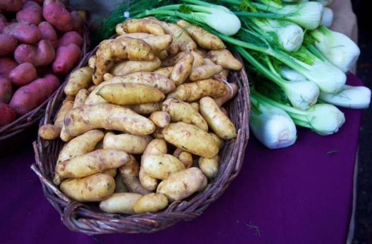 סוד המרכיבים: מה עושים עם תפוחי אדמה ושומר?
